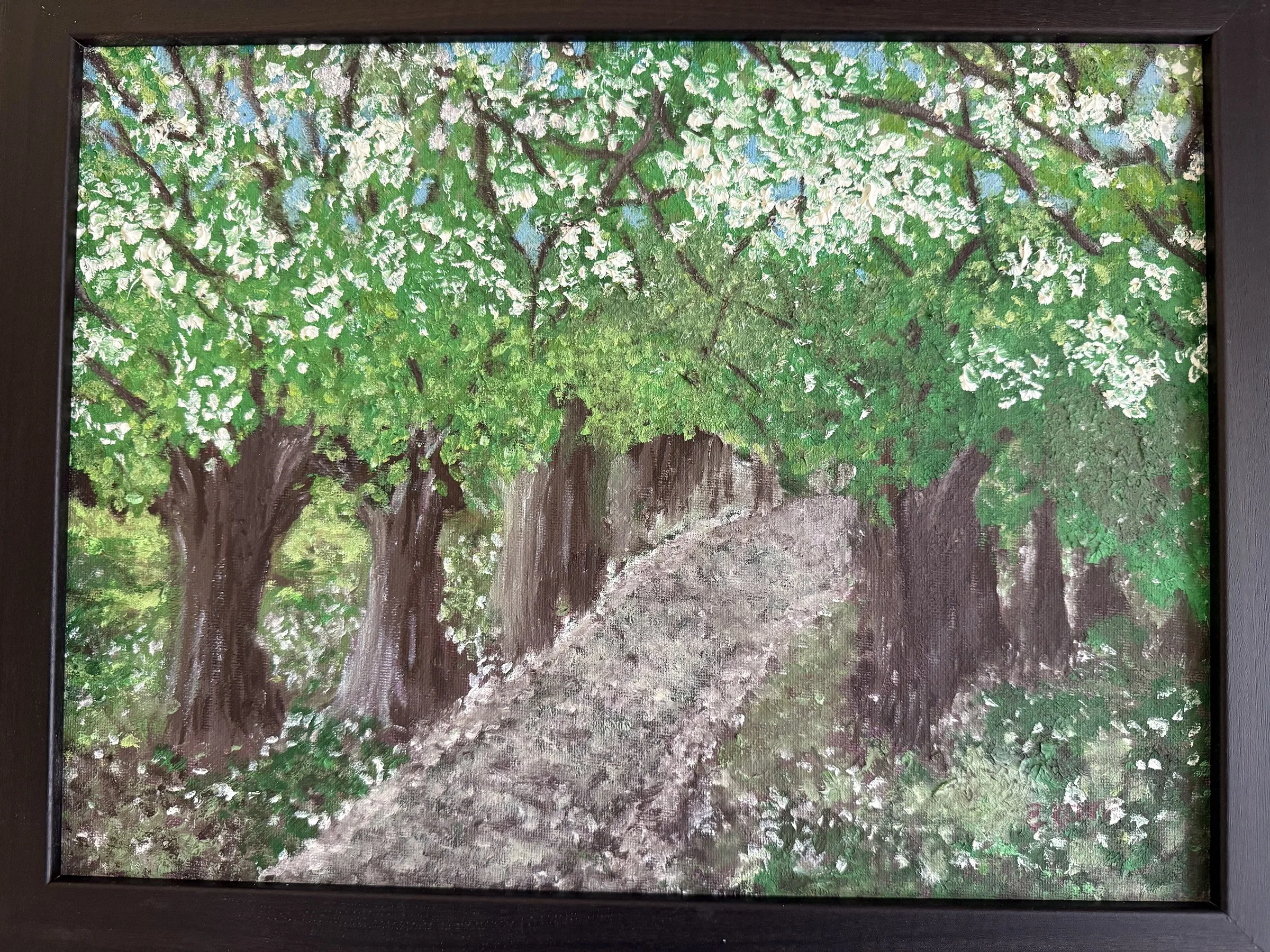 Kemme Petalfall, Glenmere Parkr.jpg