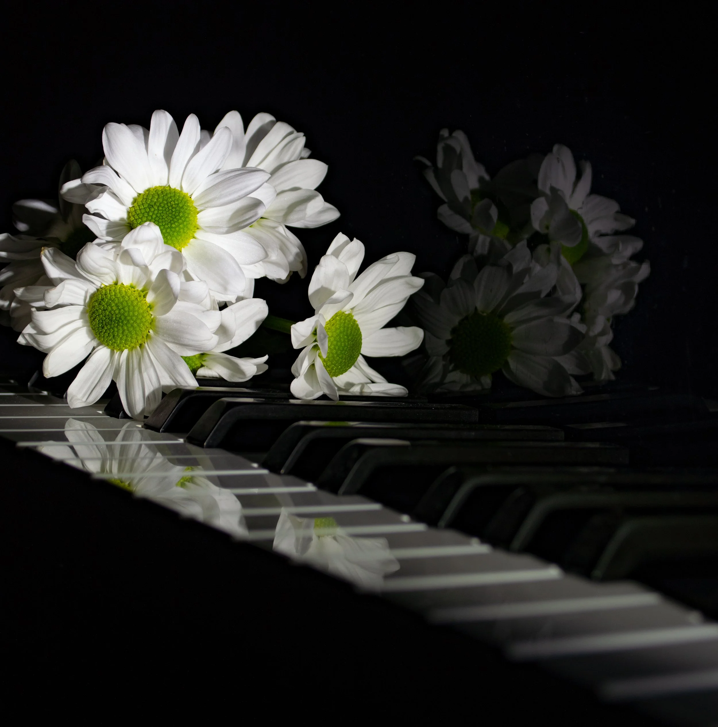 Hesse_22x16_Key of D.jpg