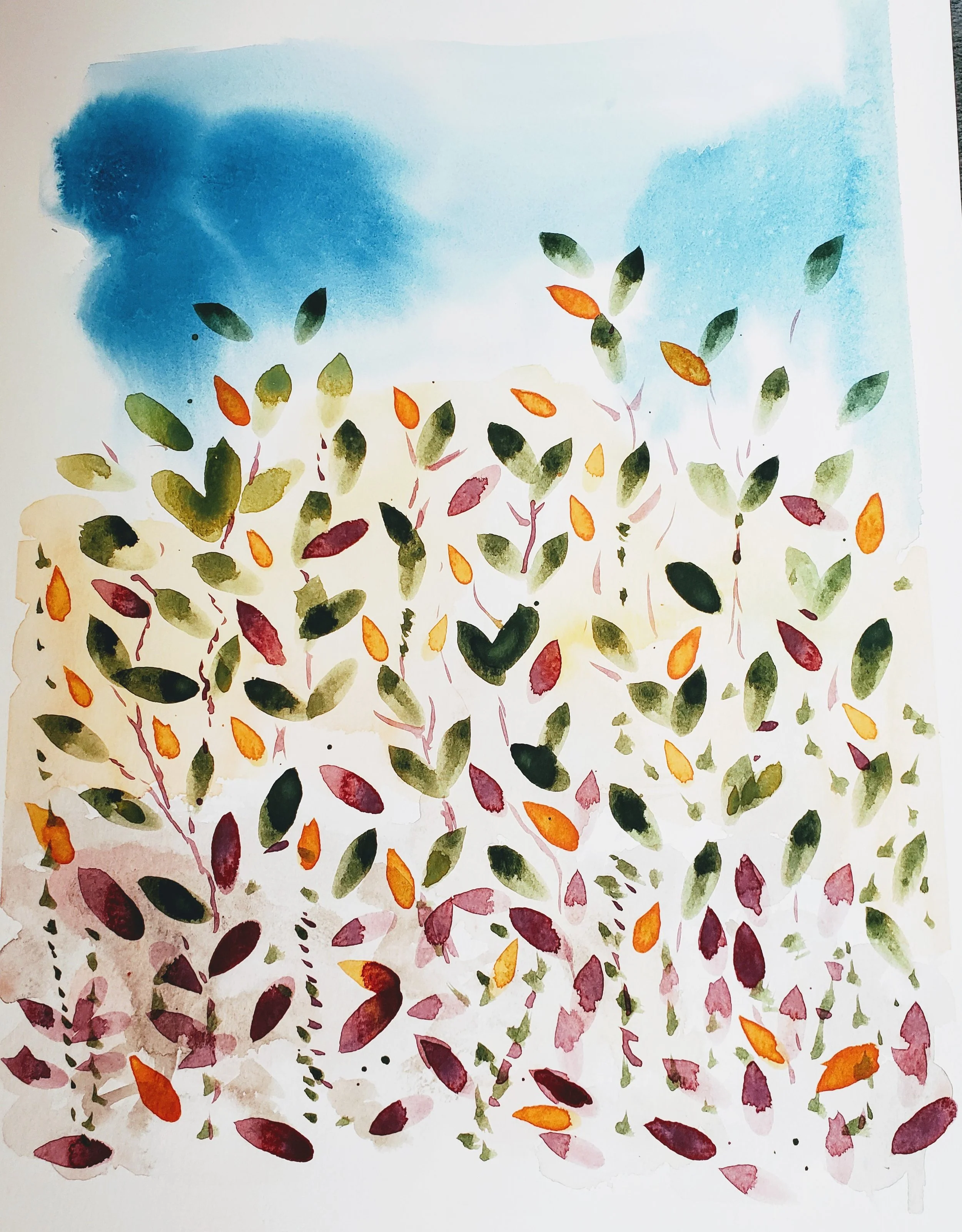 hollis_plant with many leaves_Alive_2026.jpg