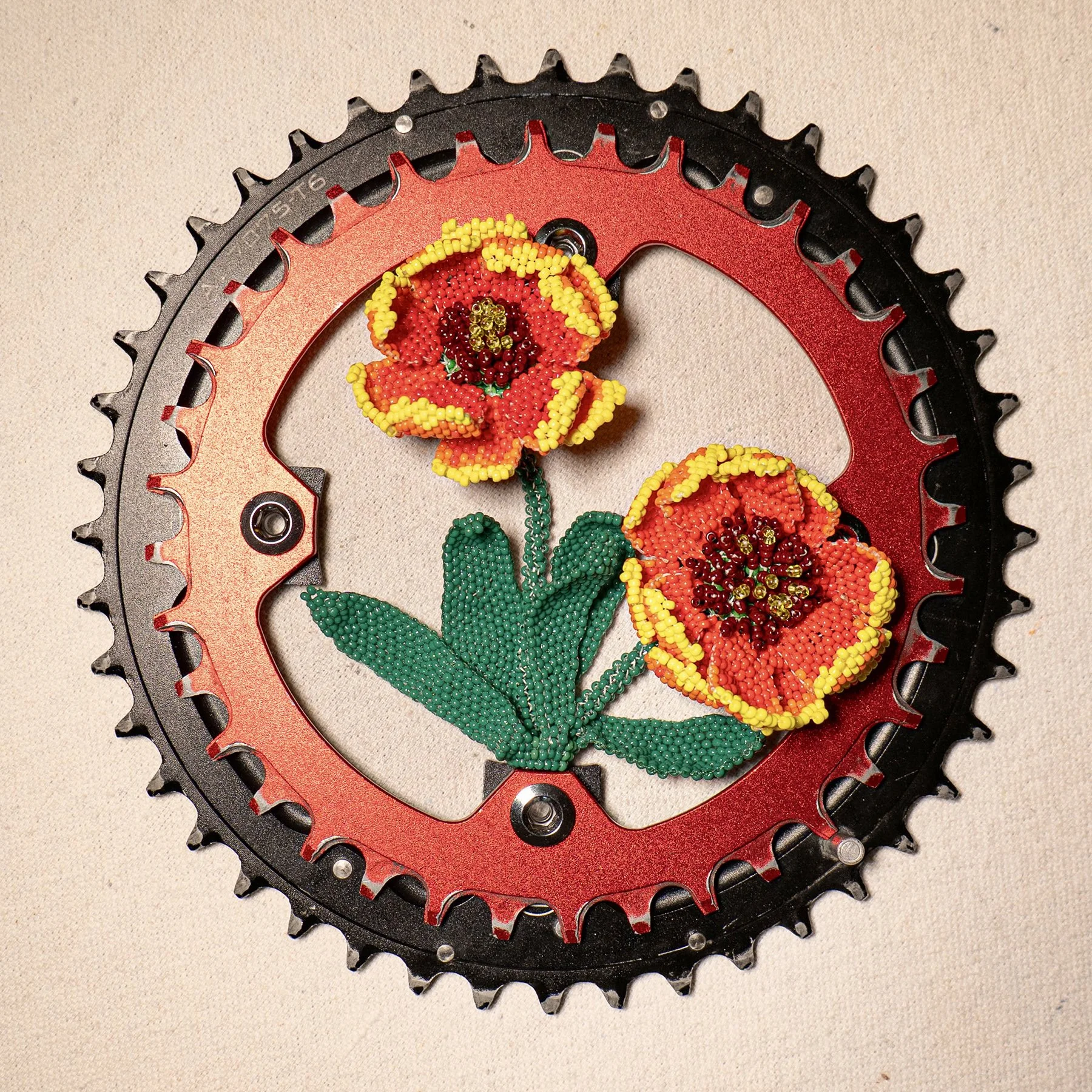 Sathe_IndianBlanketFlower_2026.jpg