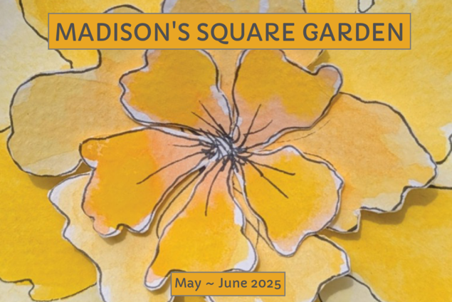 a yellow watercolor flower on a postcard reading "Madison's Square Garden, May - June 2025"