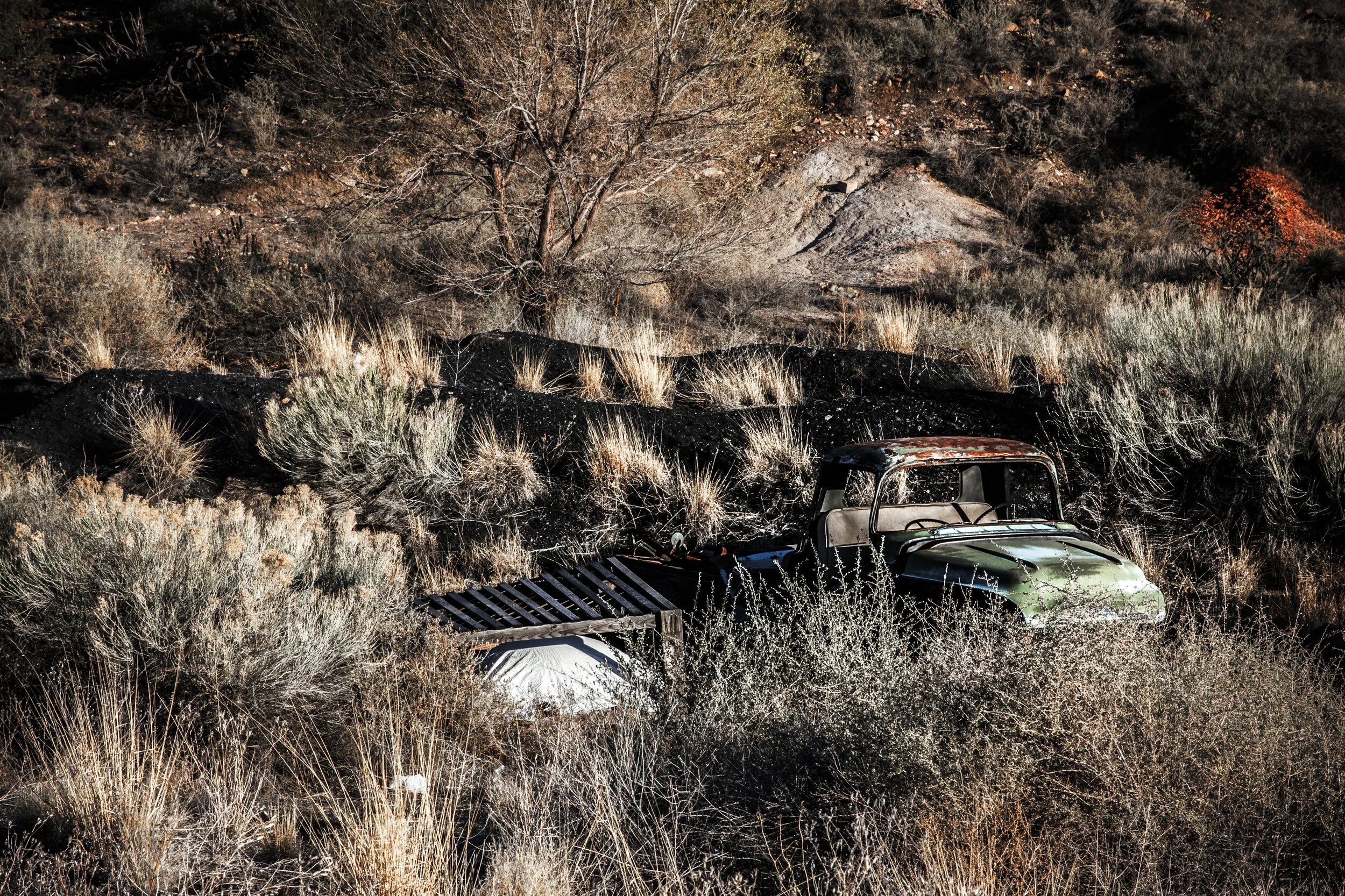 Wanderer: A Pop-up Art Exhibition