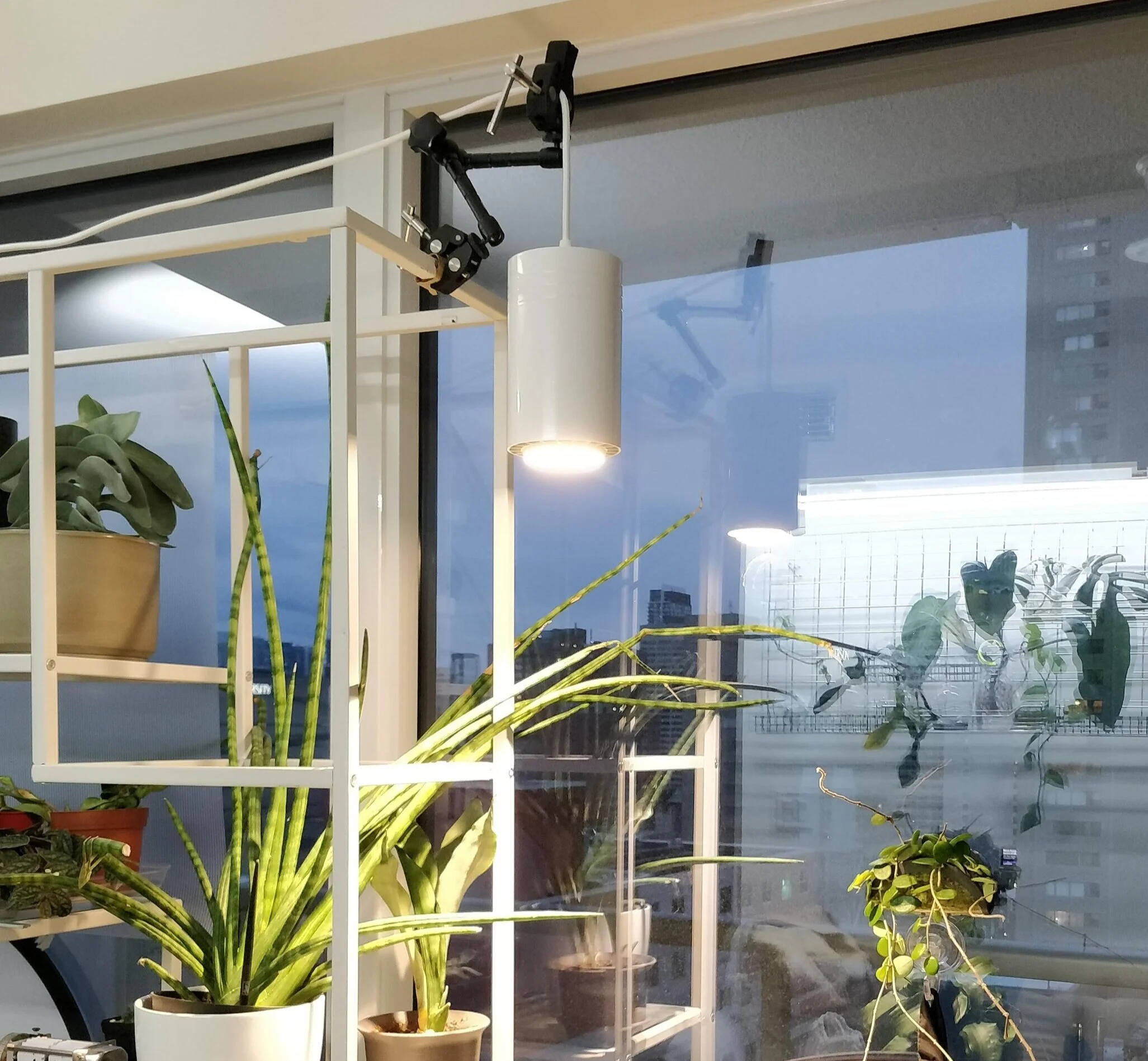 Grow Lights Part 1 A few grow lights I've used — House Plant Journal