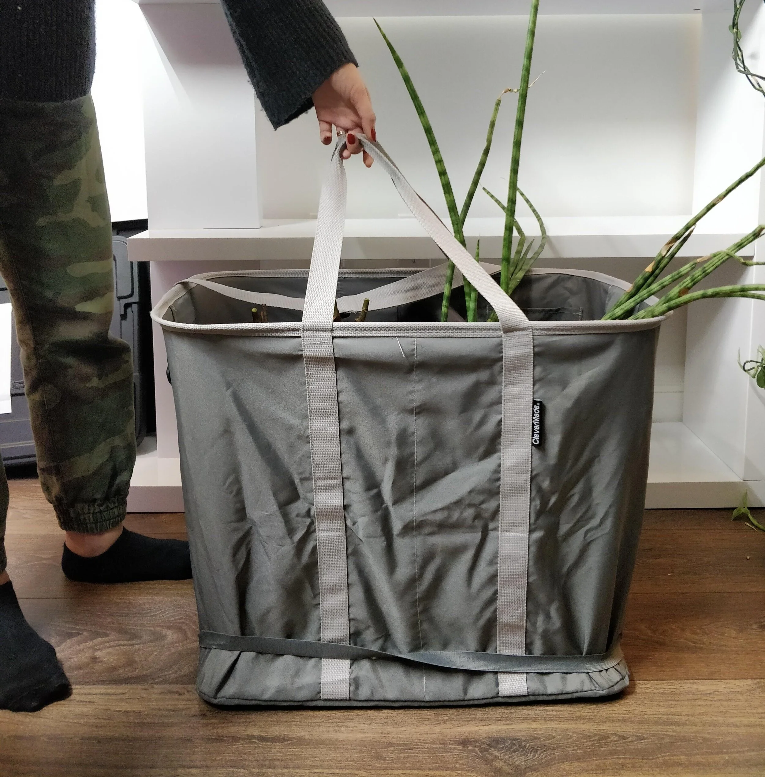 Tips for Moving with Plants — House Plant Journal