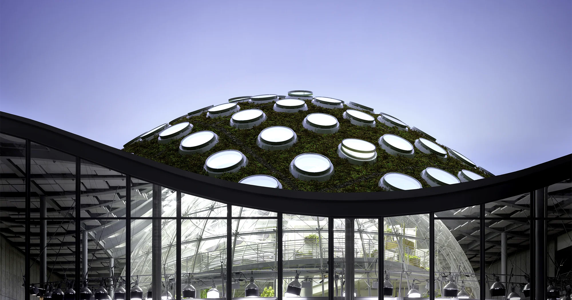 cal academy.jpg