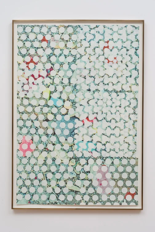 Salton Sea (plastic), 2012 Acrylic, oil and UV cured ink on paper 65 x 44 inches 165.1 x 111.76 cm