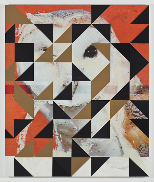  Screen (barn owl), 2011  Acrylic and UV cured print on canvas over panel  72 x 60 inches  182.88 x 152.4 cm       