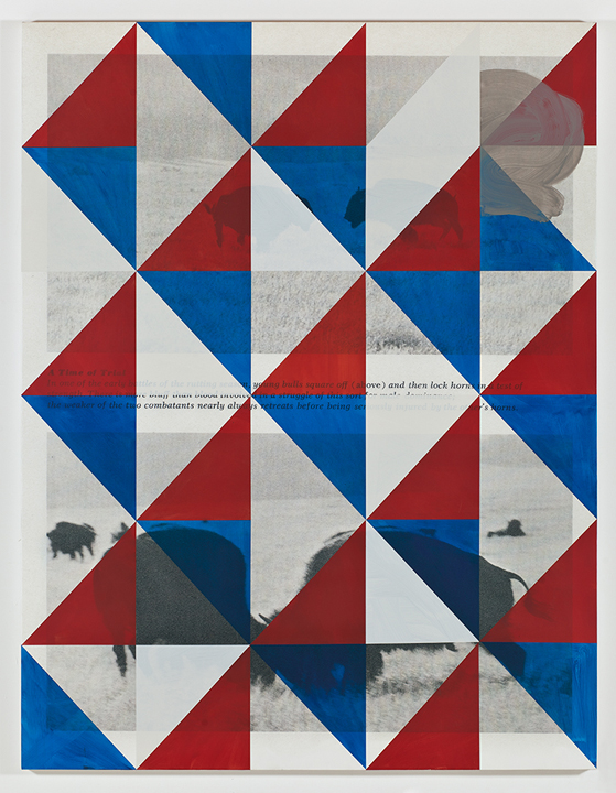  Screen (trial), 2011  Acrylic and UV cured print on canvas over panel  77 x 58 inches  195.58 x 147.32 cm       