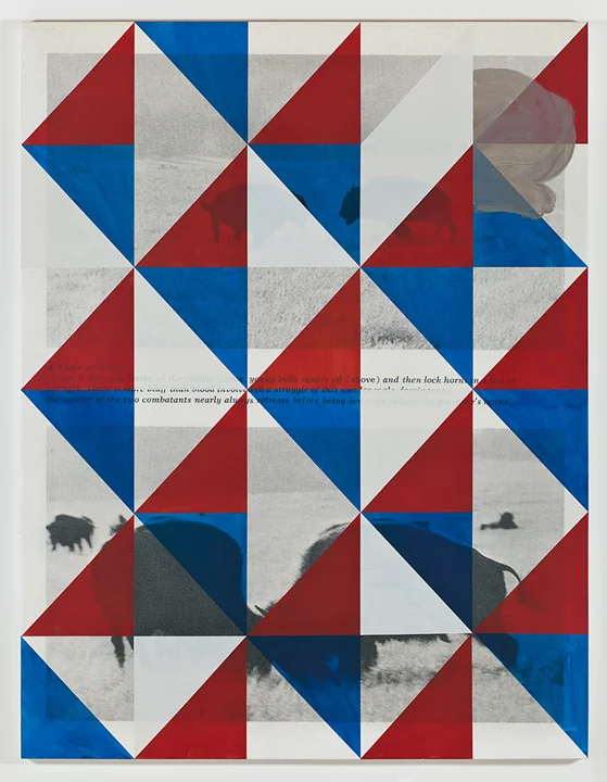 Screen (trial), 2011 Acrylic and UV cured print on canvas over panel 77 x 58 inches 195.58 x 147.32 cm