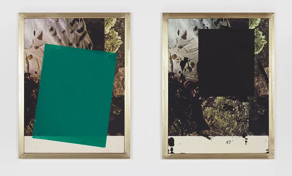 Screen (double owl) diptych, 2011 Acrylic, screen ink, enamel and UV cured print on panel in brass plated steel frames 24 x 18 inches each 60.96 x 45.72 cm