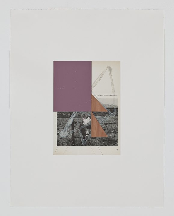  Screen (swainson hawk), 2009  Acrylic, collage and pencil on archival pigment  print on watercolor paper  23 x 18.5 inches  58.42 x 46.99 cm       