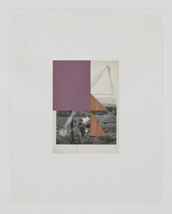 Screen (swainson hawk), 2009 Acrylic, collage and pencil on archival pigment print on watercolor paper 23 x 18.5 inches 58.42 x 46.99 cm
