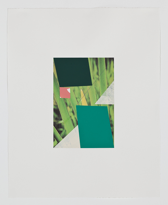  Screen (grass), 2009  Gouache, collage and pencil on archival pigment  print on watercolor paper  23 x 18.5 inches  58.42 x 46.99 cm       