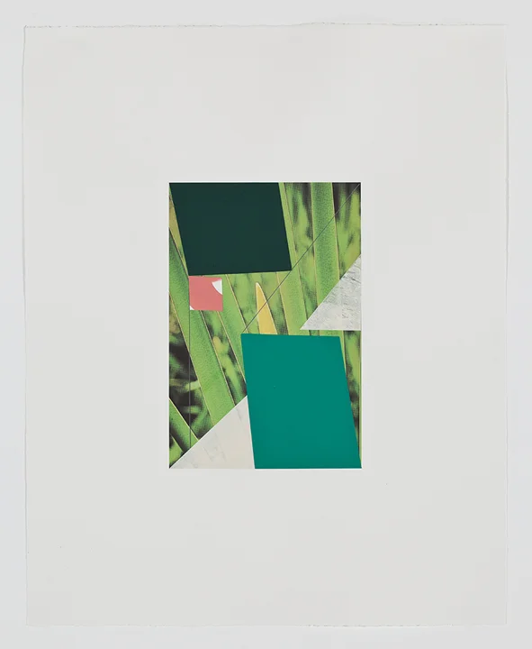 Screen (grass), 2009 Gouache, collage and pencil on archival pigment print on watercolor paper 23 x 18.5 inches 58.42 x 46.99 cm