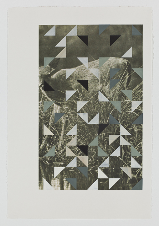  Screen (fawn), 2009  Gouache on archival pigment print on watercolor  paper  40 x 26 inches  101.6 x 66.04 cm       