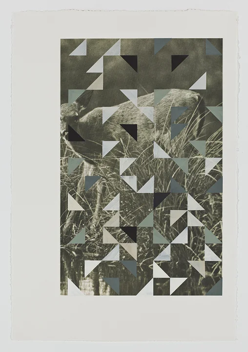 Screen (fawn), 2009 Gouache on archival pigment print on watercolor paper 40 x 26 inches 101.6 x 66.04 cm