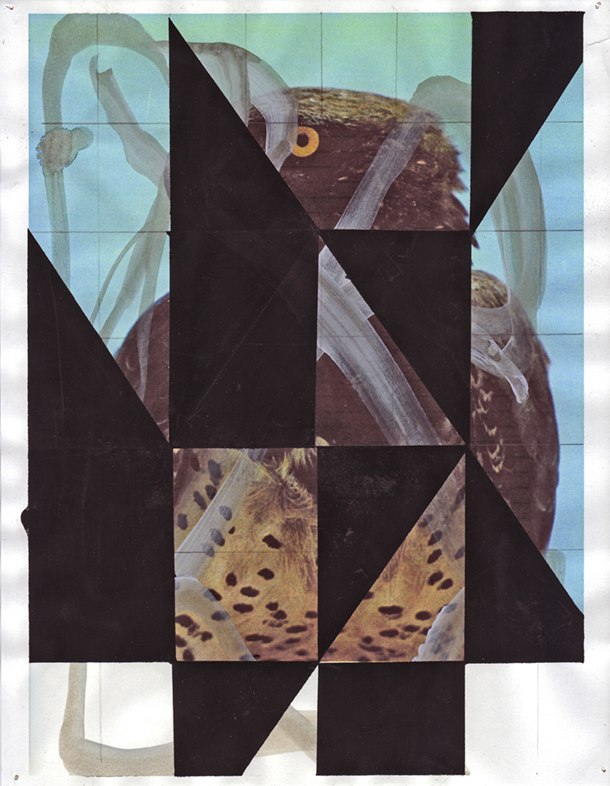  Martial eagle 1, 2009  Gouache and pencil on inkjet print  11 x 8.5 inches  27.94 x 21.59 cm       