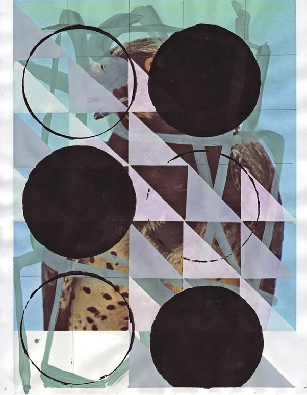 Martial Eagle 2, 2009 Gouache and pencil on archival inkjet print 11 x 8.5 inches 27.94 x 21.59 cm