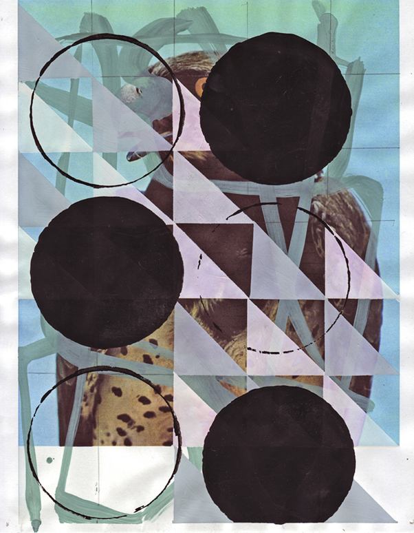  Martial Eagle 2, 2009  Gouache and pencil on archival inkjet print  11 x 8.5 inches  27.94 x 21.59 cm       