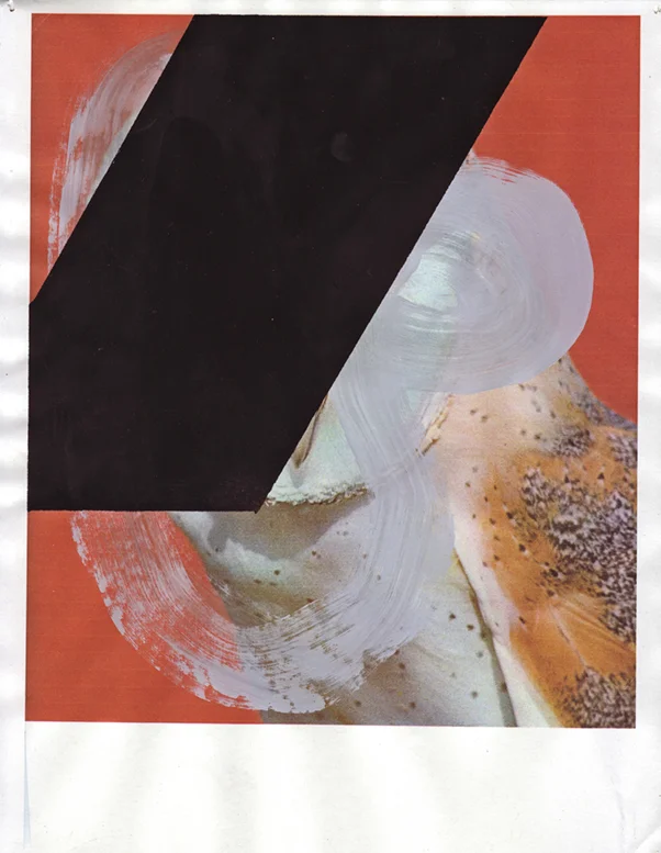 Barn Owl 2, 2009 Gouache and pencil on inkjet print 11 x 8.5 inches 27.94 x 21.59 cm