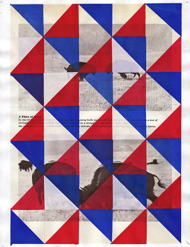 Bison 2, 2011 Gouache and pencil on inkjet print 11 x 8.5 inches 27.94 x 21.59 cm