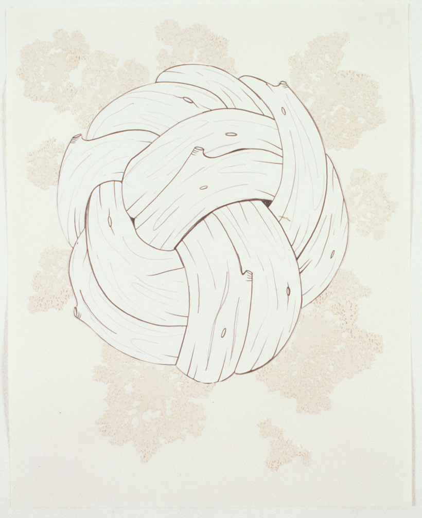  Knot, 2003  Pencil, gouache and collage on paper  14 x 11 inches  35.56 x 27.94 cm       