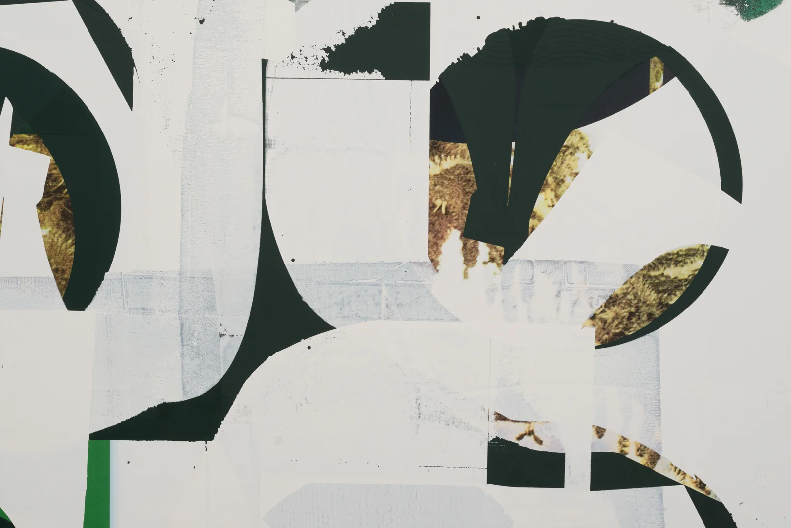 Composite 24 (terse rejoinder) , detail