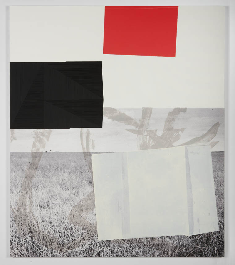  Screen (prairie), 2011  Acrylic, screen ink and UV cured print on canvas  over panel  77 x 66 inches  195.58 x 167.64 cm       