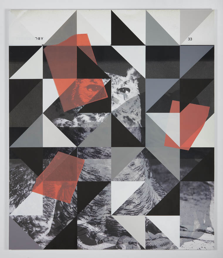 Screen (owl prehistory), 2011 Enamel, acrylic, screen ink and UV cured print on canvas over panel 77 x 66 inches 195.58 x 167.64 cm