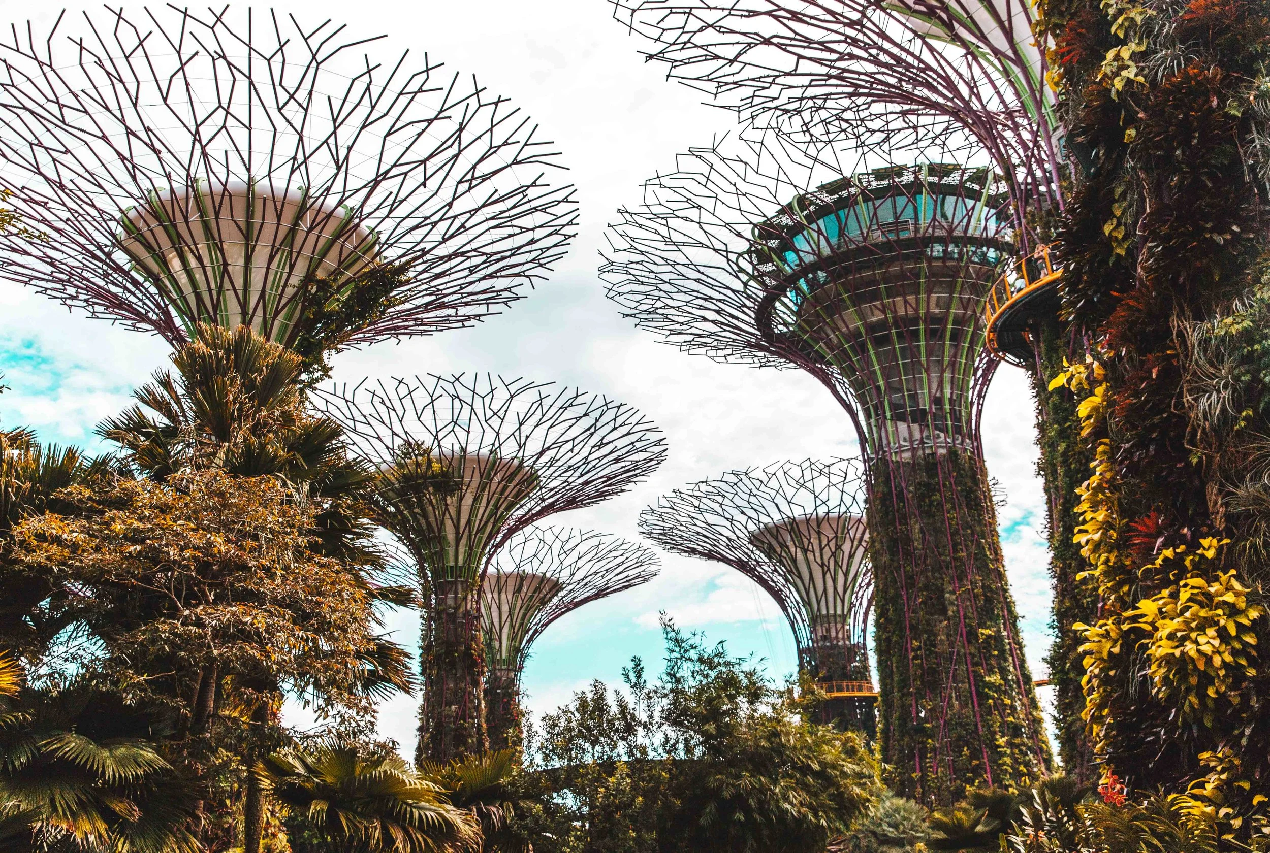 Singapore-5598.jpg