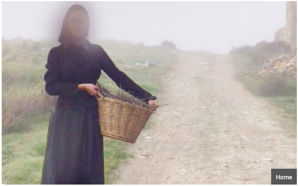 Still from ‘Oreja’ (2016), Ghost Town Initiative, Google street view interactive artwork, Elena Kendall-Aranda. Photo courtesy of the artist.