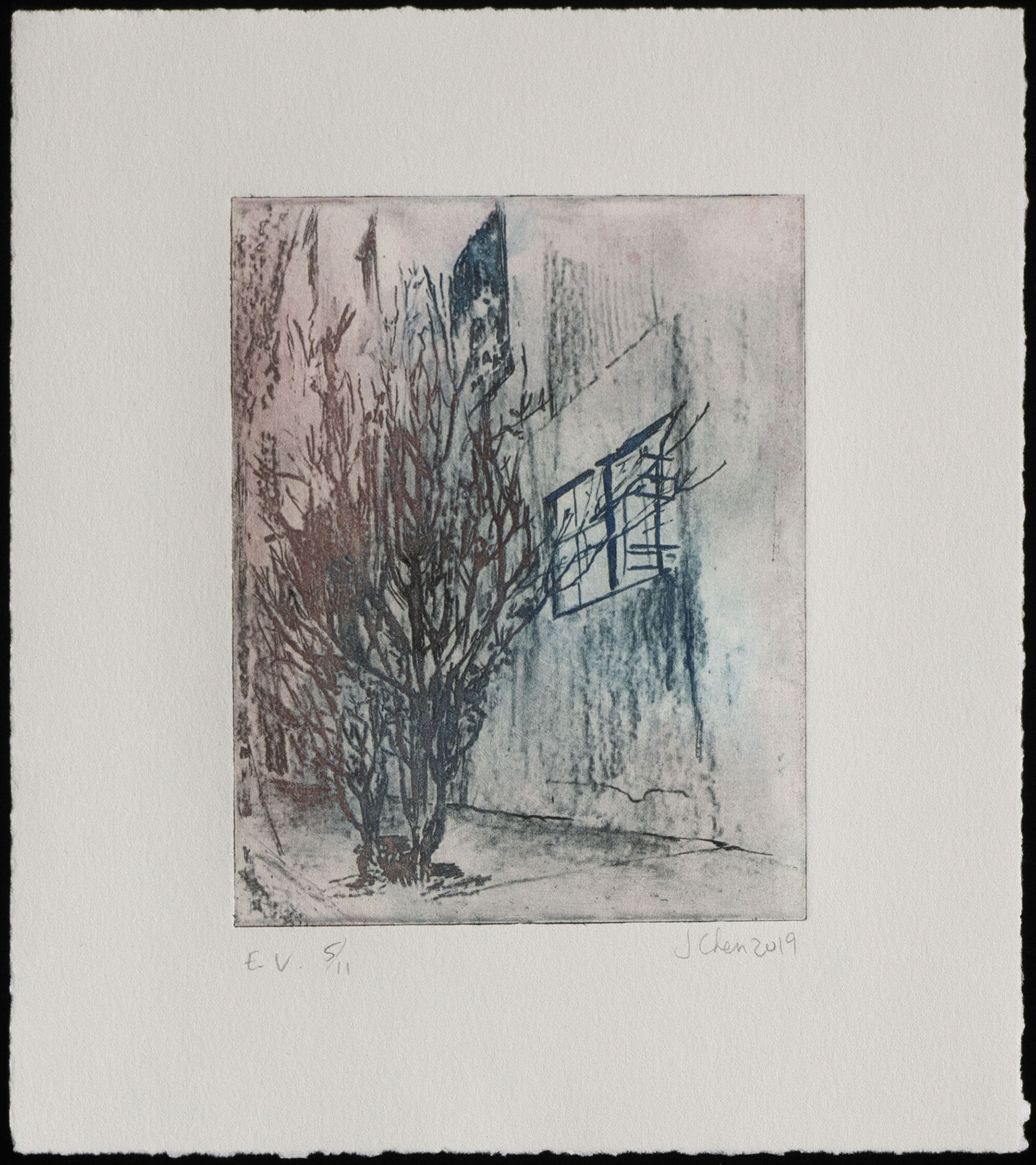    Untitled   (Ficus regrowth- Brewery), 2019  Intaglio (Photopolymer), Monoprint, 6 x 9 in. 