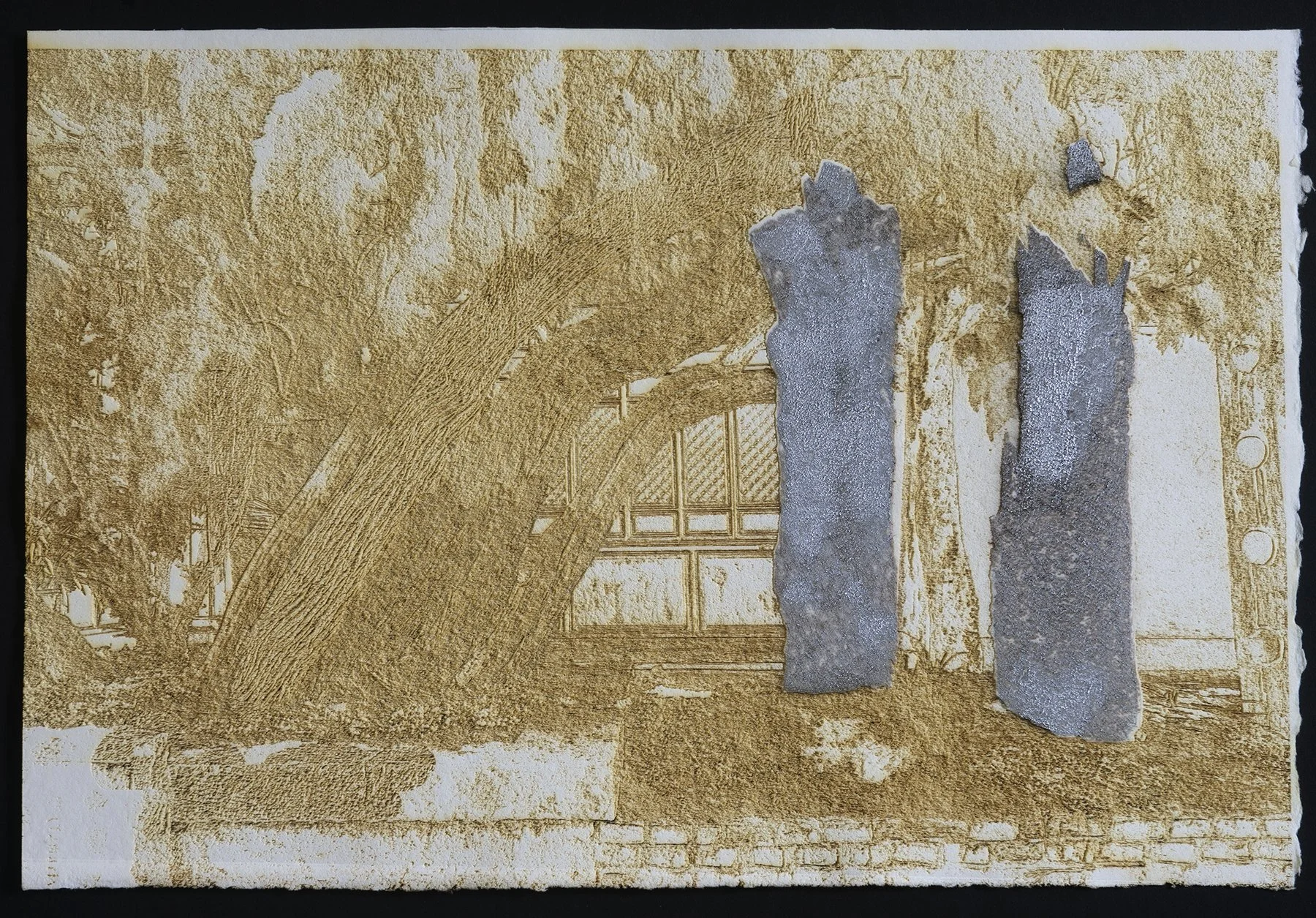 Untitled (Chinese Willow Dali), 2019 Intaglio with laser engraving; 15x11 in.