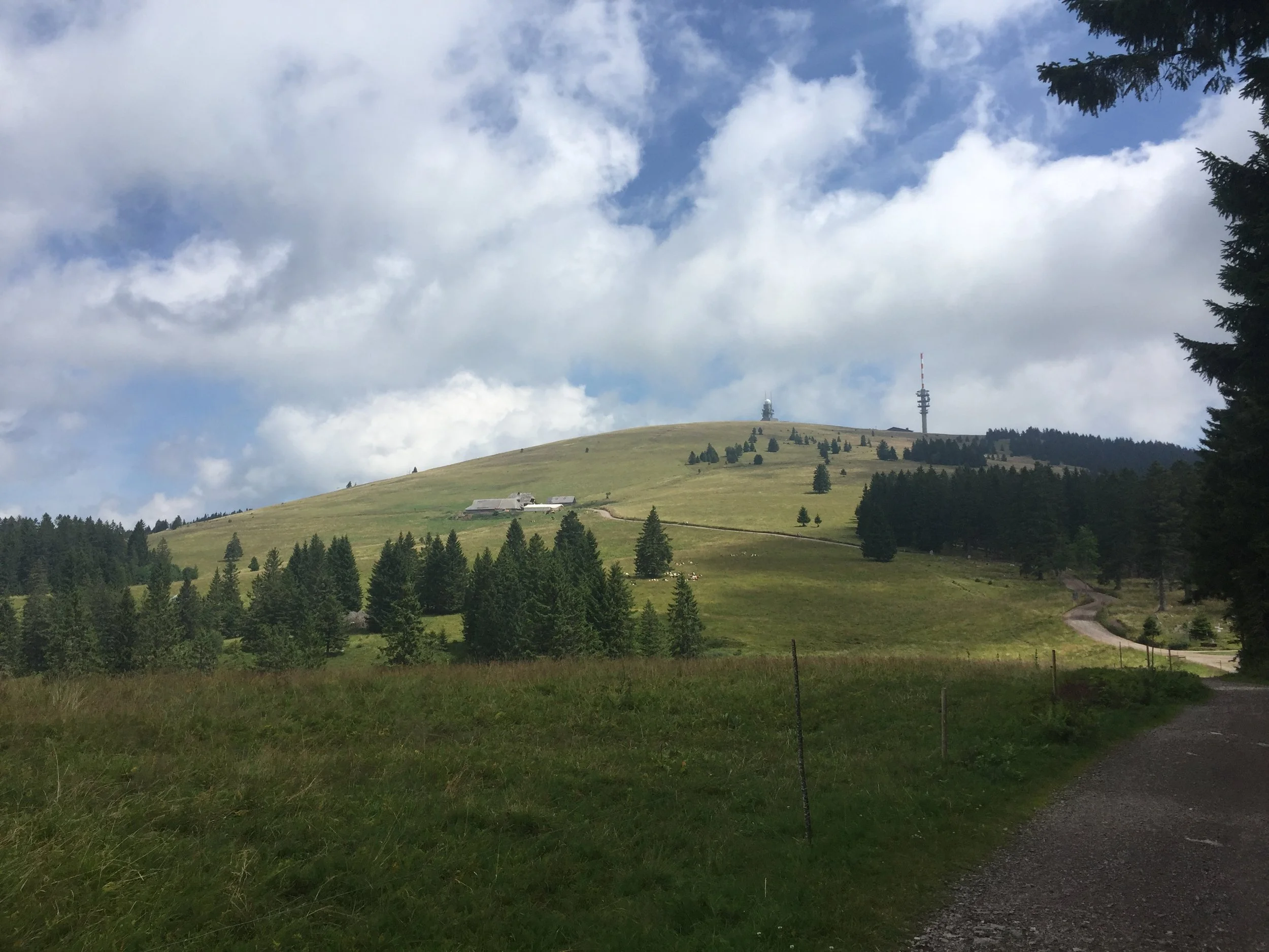 A Walk in the Black Forest – Feldberg to Schauinsland