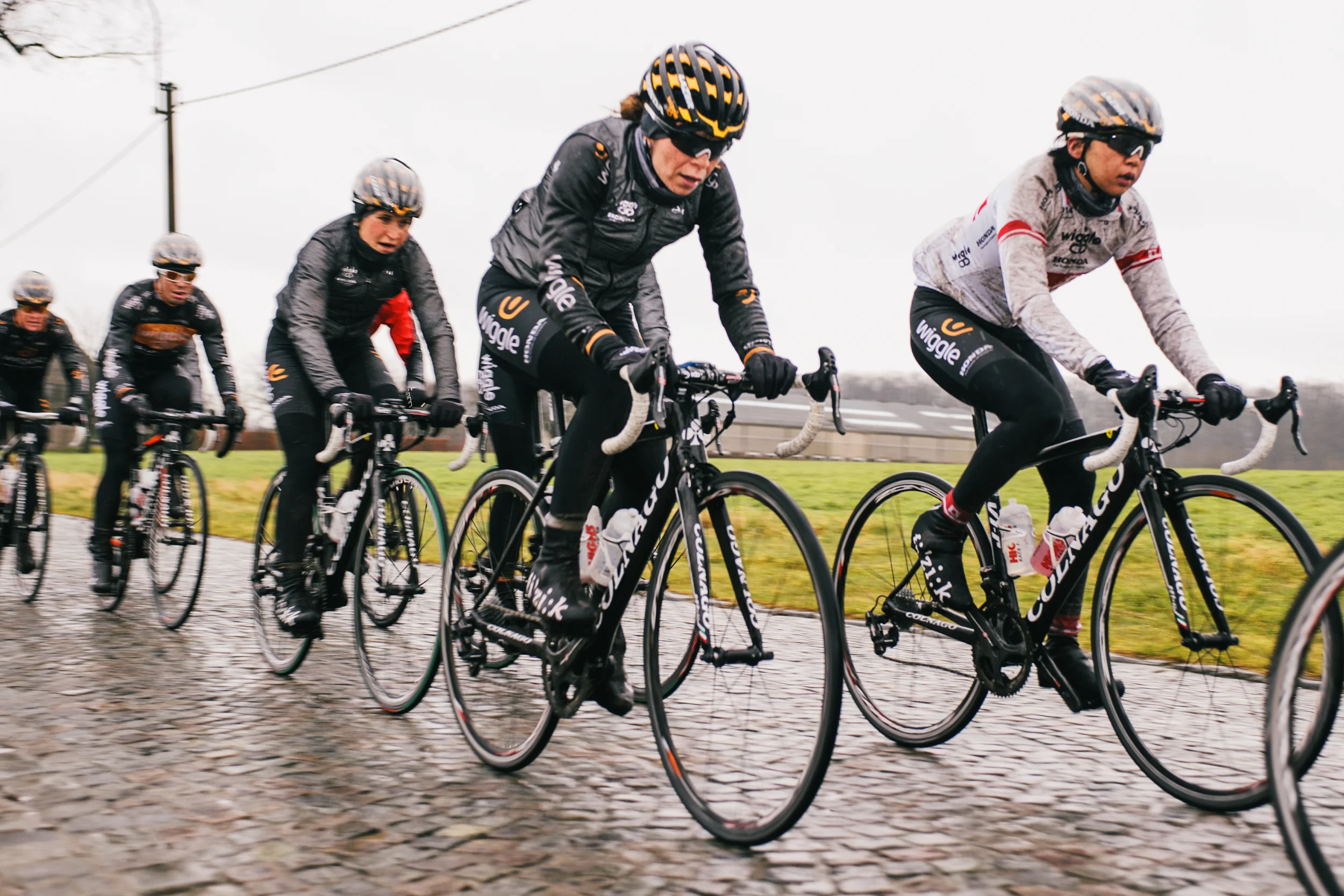 ABD_WebsiteSquareSpace Wiggle_V25.jpg