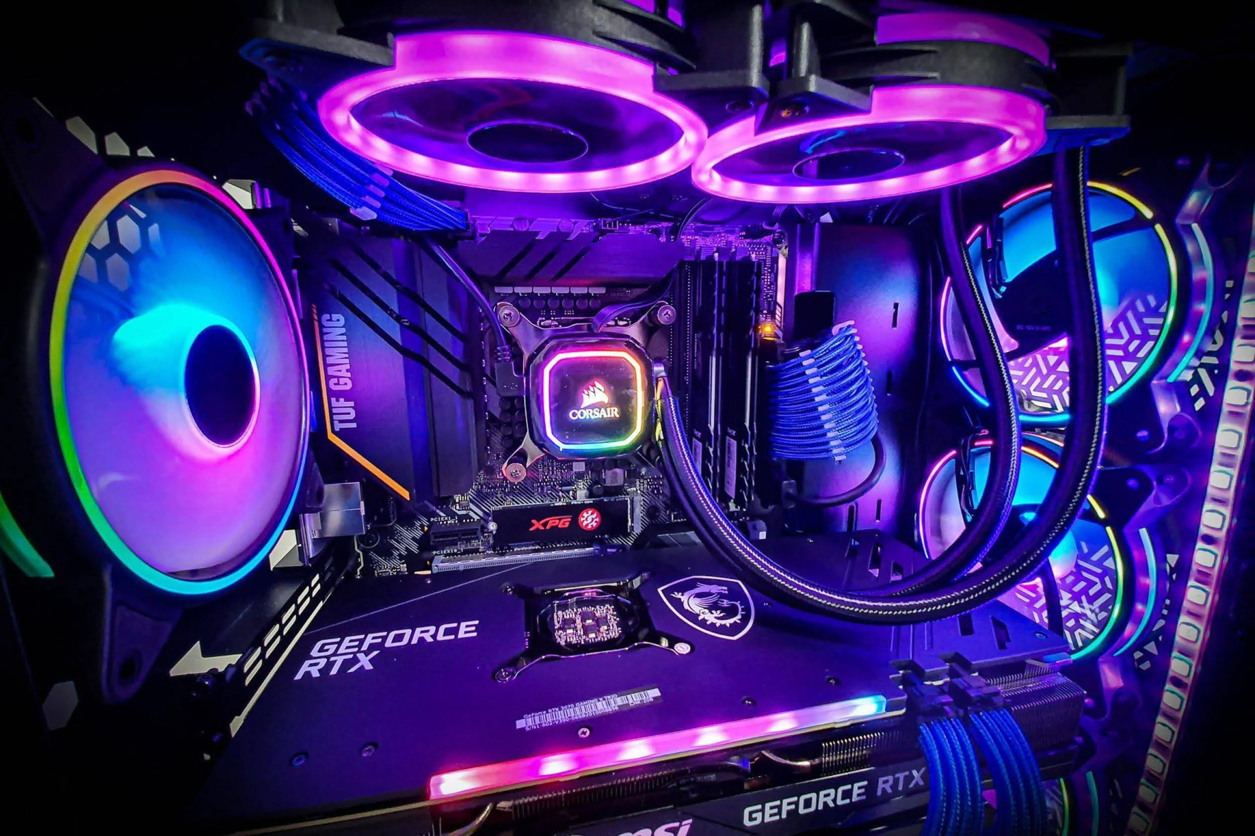 ABD_WebsiteSquareSpace Gladiator.jpg