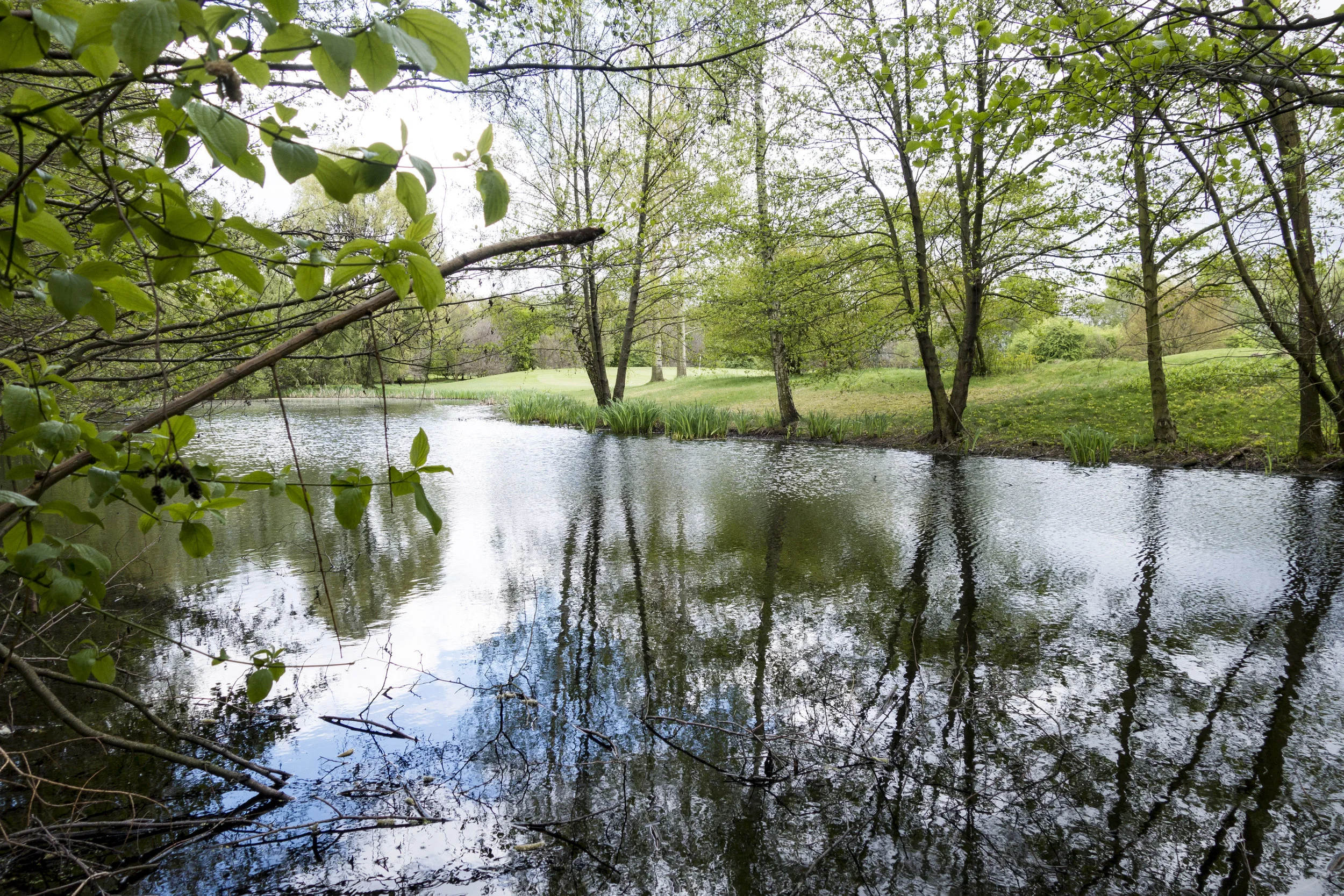 Ufer 3.jpg