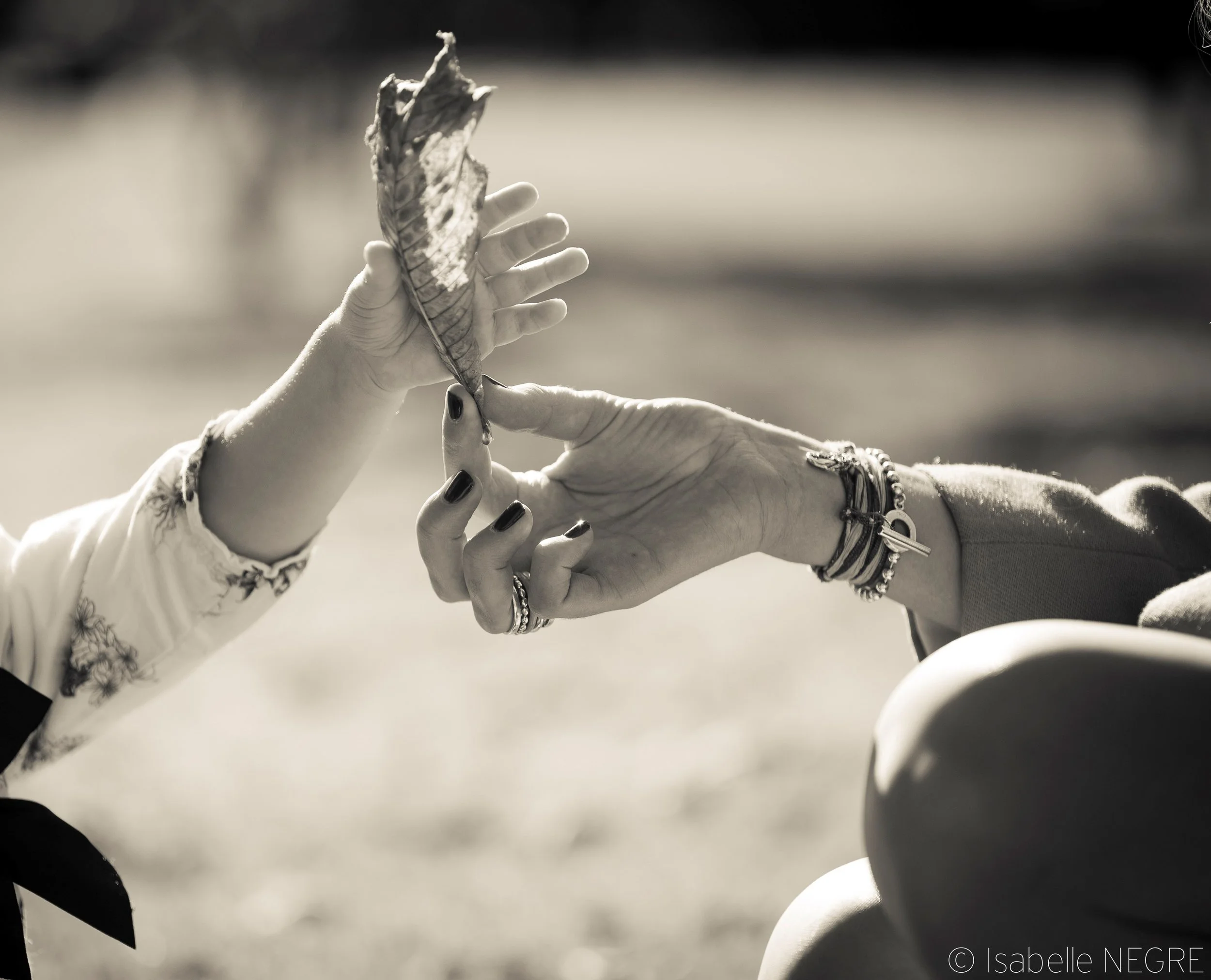 IMG_6135-2.jpg