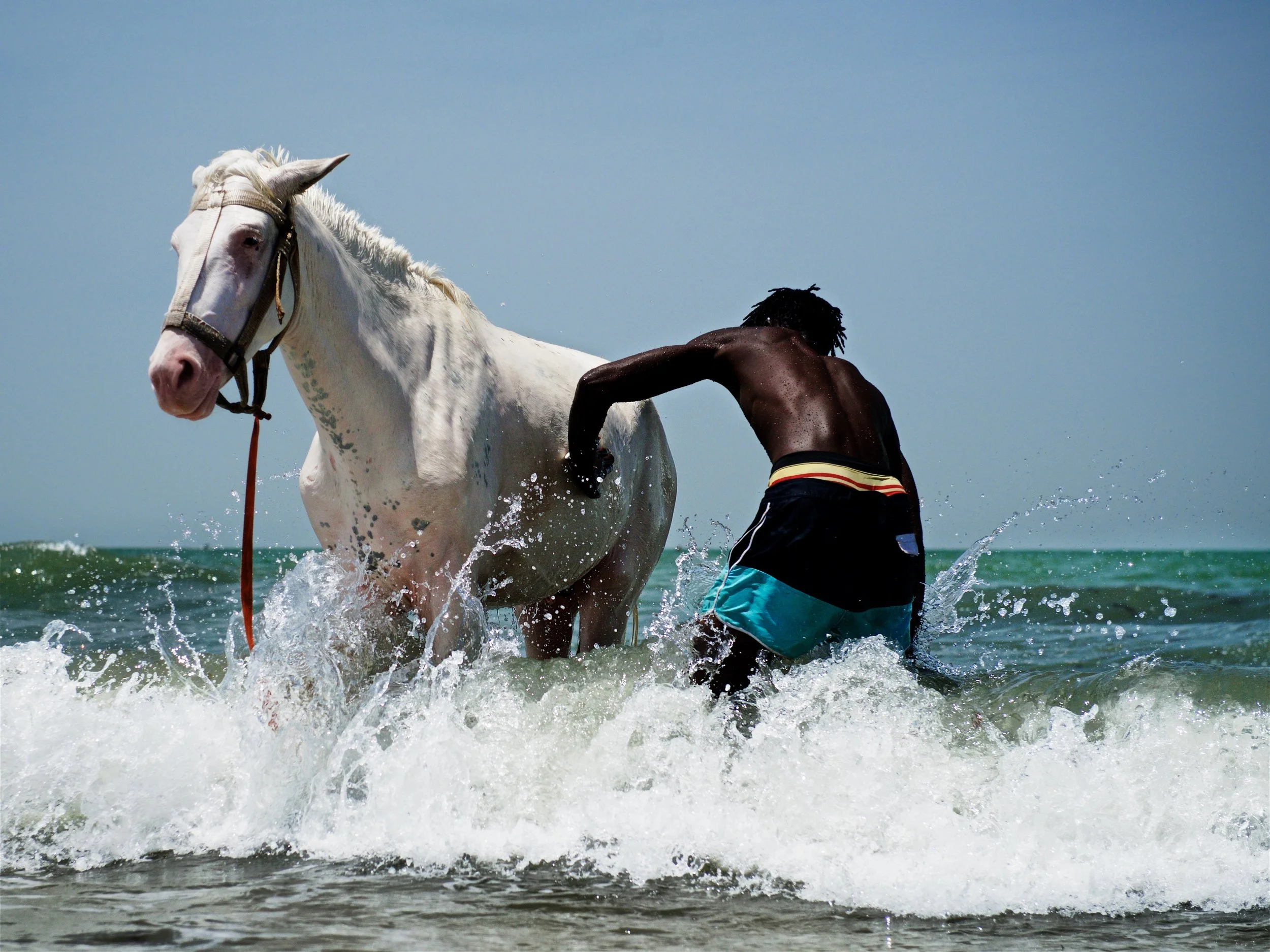 _DSC4511 - Version 2.jpg