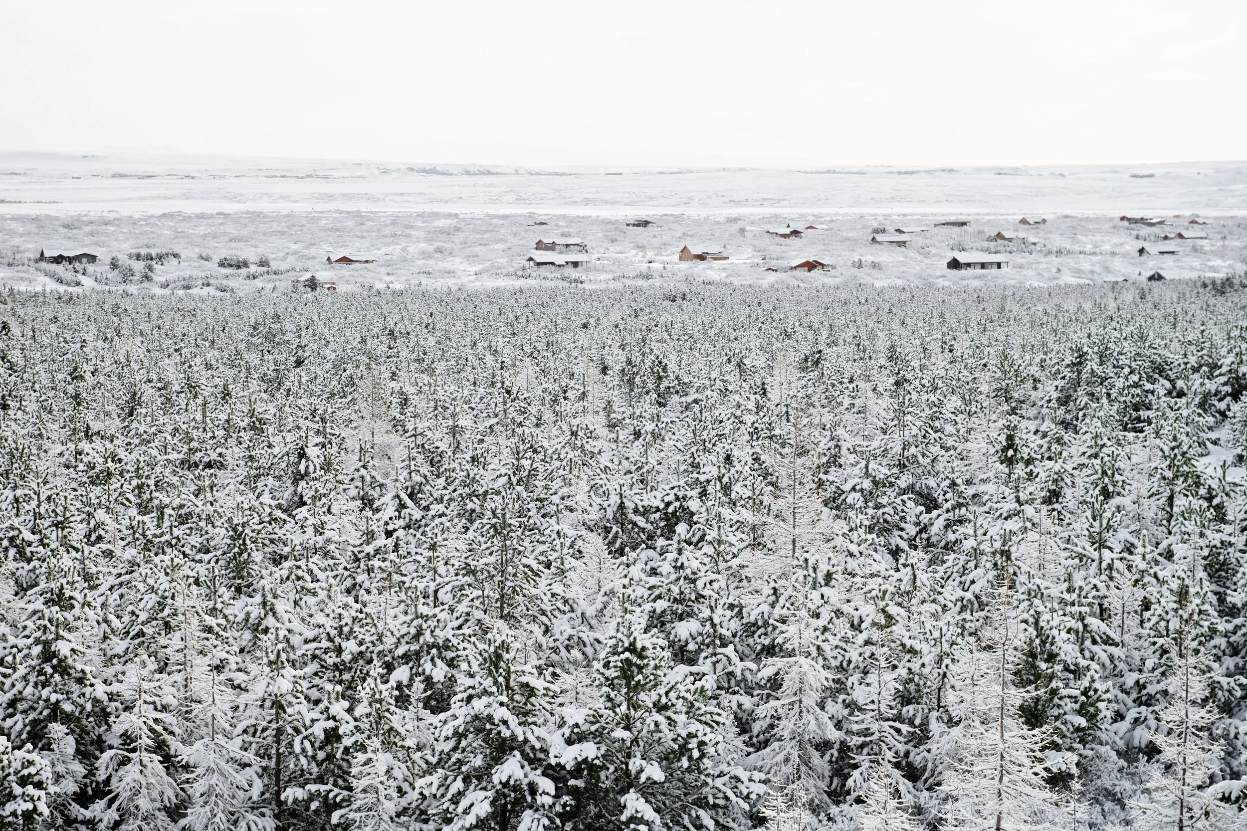 _DSC2986.jpg