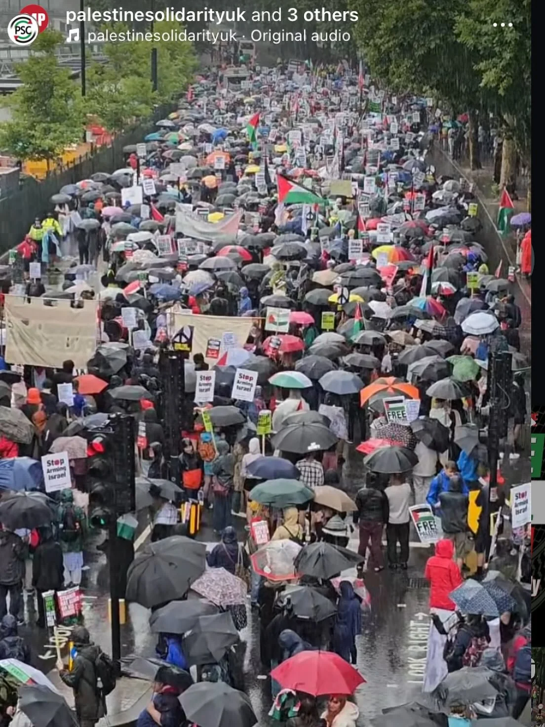 This is the peace March for Palestine this weekend. @the.independent described this as &lsquo;a couple of hundred people&rsquo; the BBC didn&rsquo;t report it at all.  Apparently people marching asking for an end to the killing is a bad thing or some