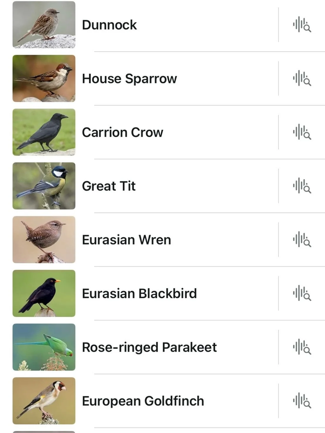 With thanks to @merlin.bird.id I know that we have all these little ones singing happily in the garden in the spring sunshine this morning (plus Robins and Wood Pigeons which didn&rsquo;t fit on the page) We have been gardening organically here for y