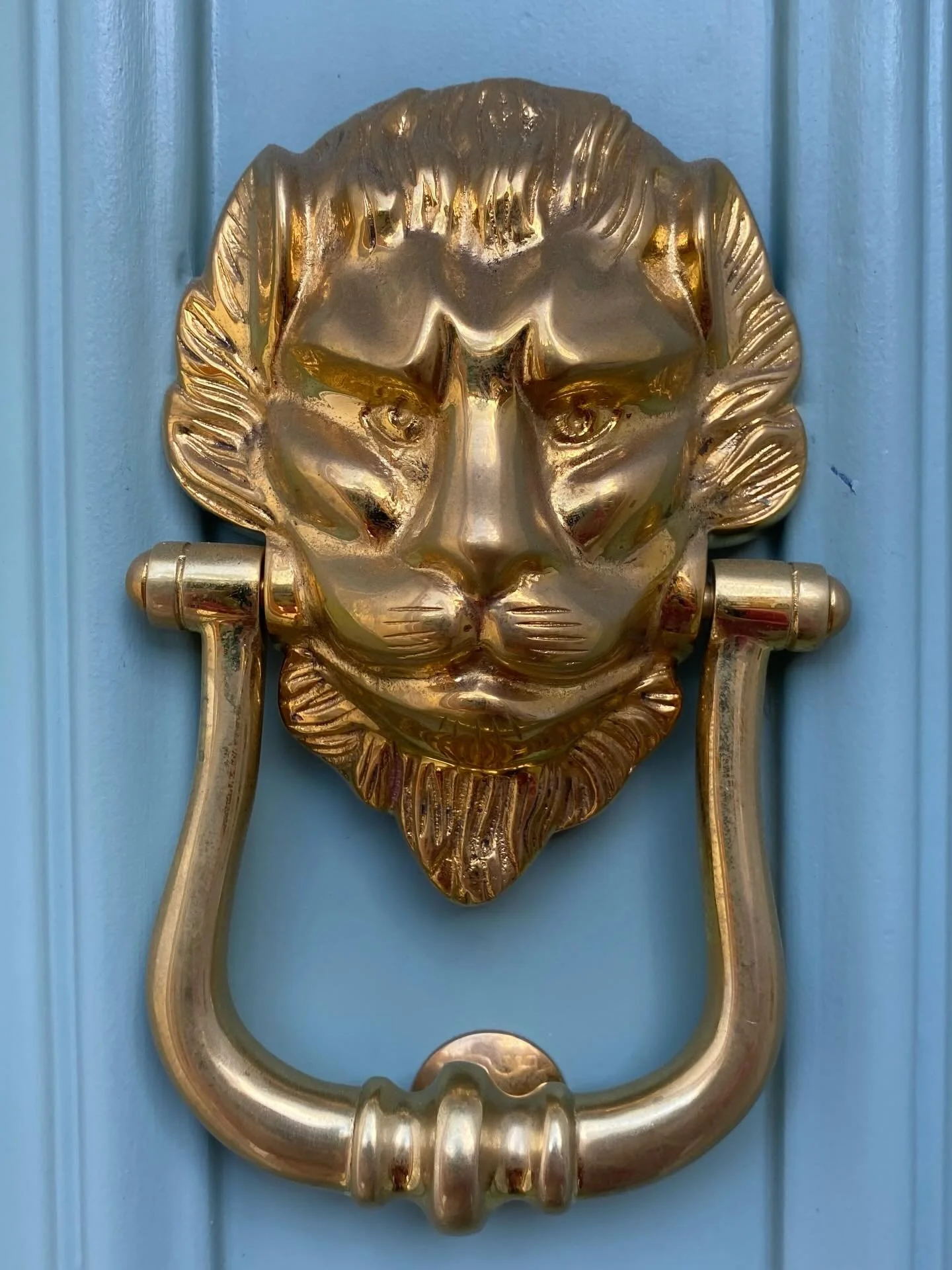 #Battersea Park Ward where I&rsquo;m a candidate it a ward of stark contrasts. With some of poorest areas in Wandsworth it also has some very wealthy areas where the homes have some wonderful door knockers. Looking out for the more original ones is o