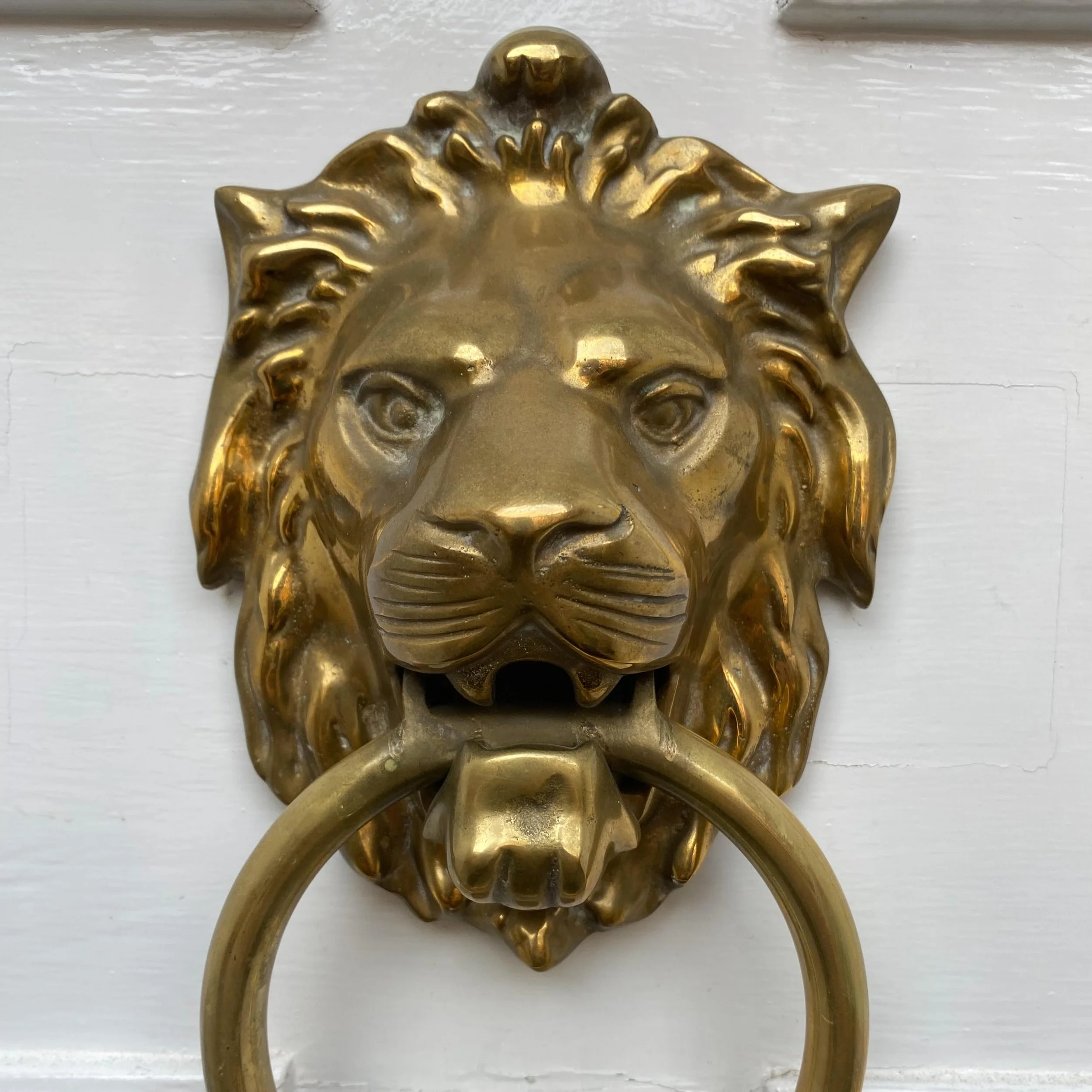 We have a splendid collection of lion door knockers in #wandsworth I met one of the @wandsworthtories this afternoon. He was dropping leaflets through doors telling people that if they want to keep @wandsworthlabour.uk out in Wandsworth the only way 