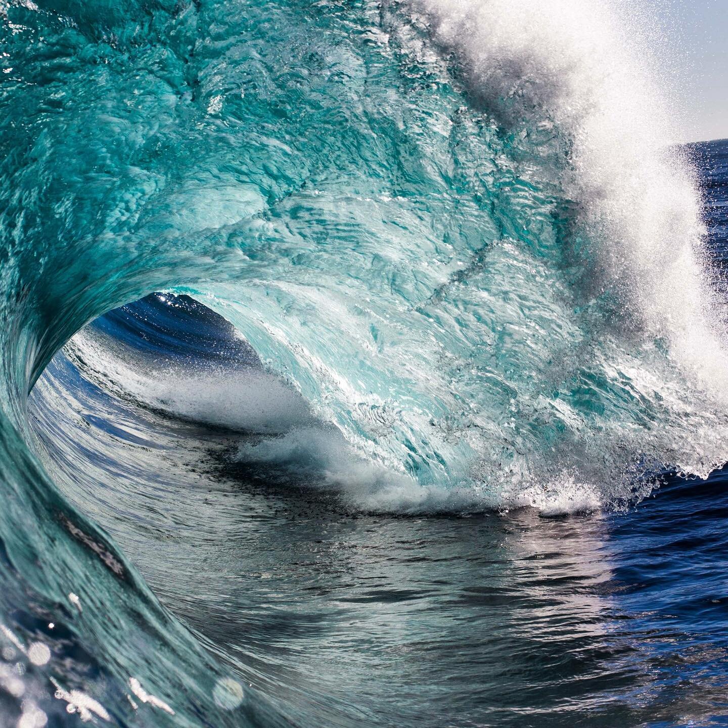 Surf Meal® The Original Surf Food Company | Australia