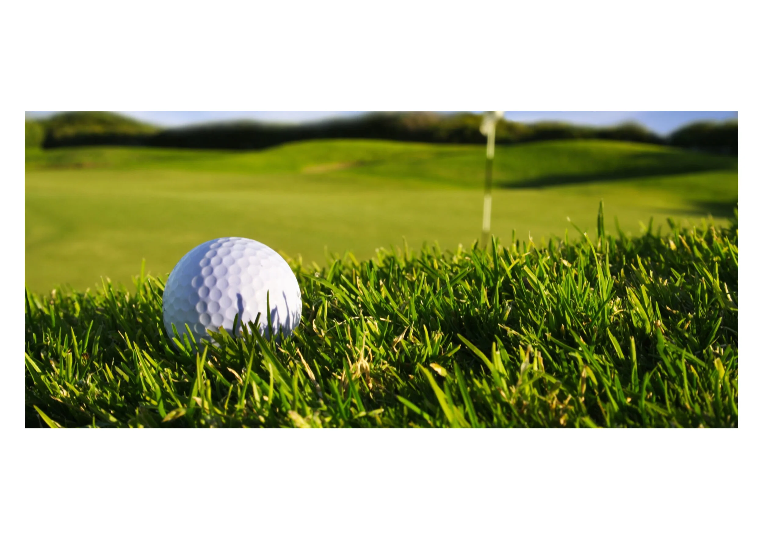 Golf Pro Marketing .jpg