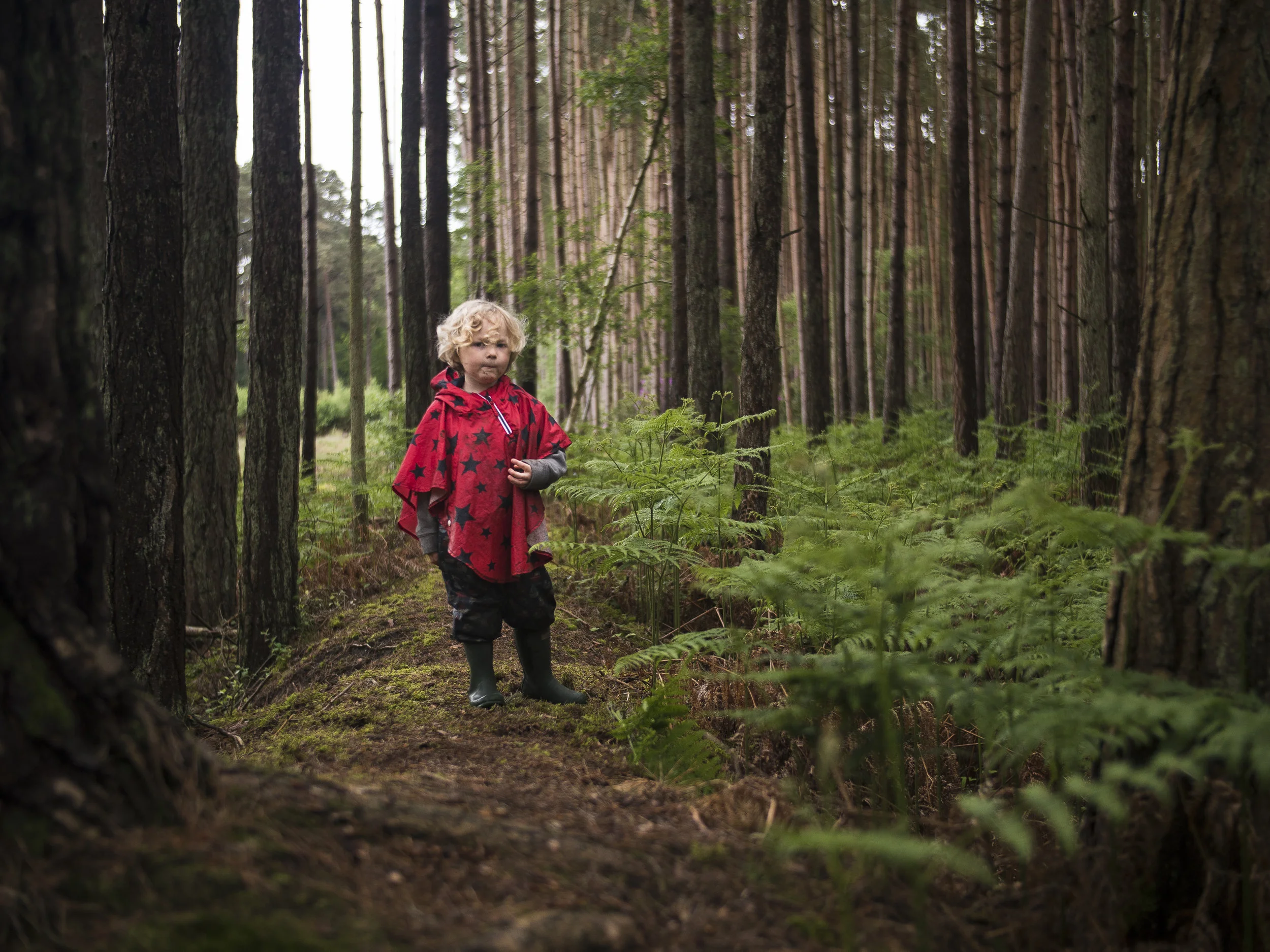 With the Sigma 18-35mm f/1.8 lens on a Panasonic GH4, an aperture of f/1.4 is used for this picture, which is made possible through the Metabones Speed Booster. Vignetting is obvious, but in this case looks rather good!