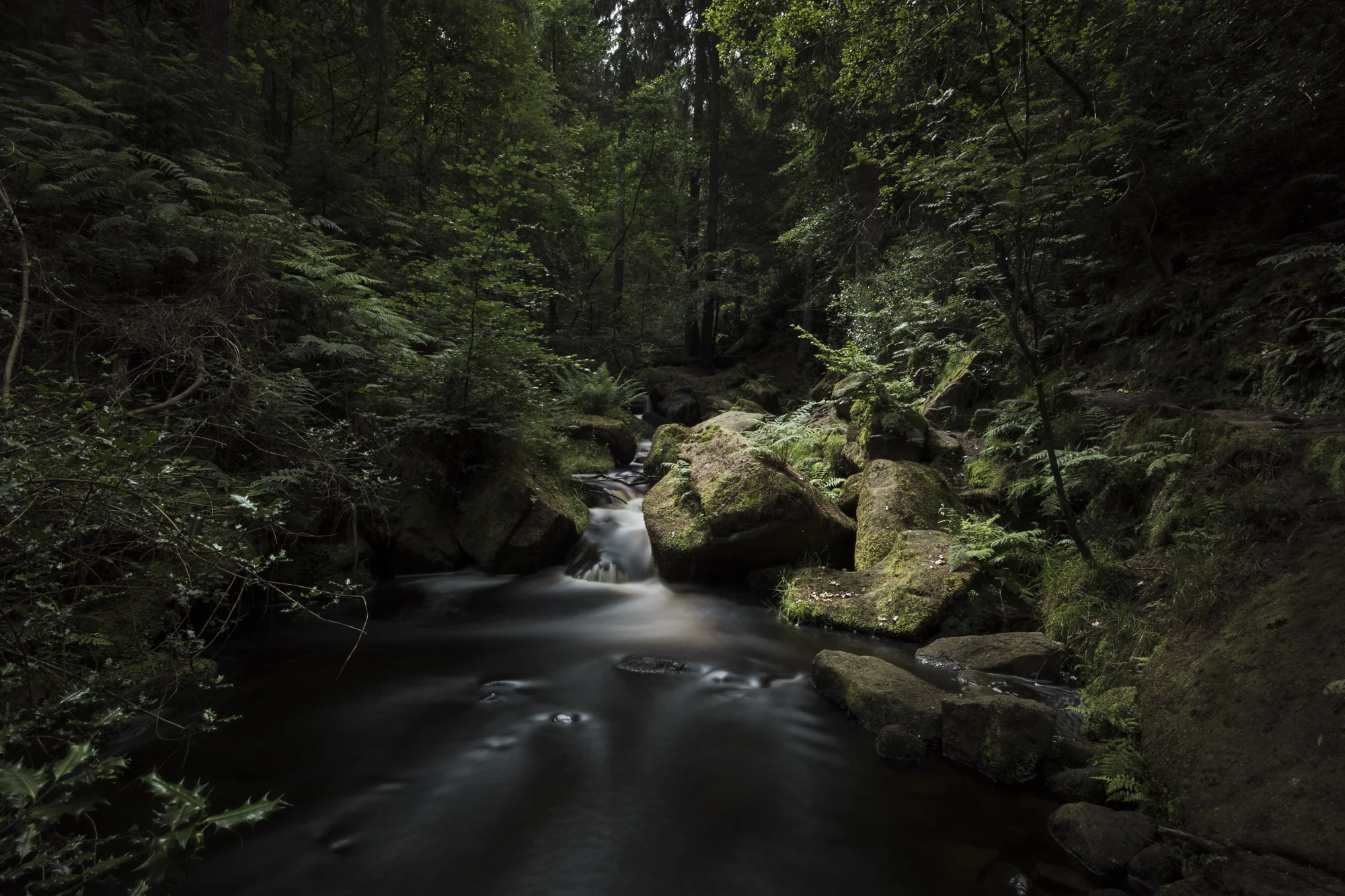 Wyming Brook, Peak District. Unedited raw file from the D7500, with the Nikon 12-24mm f/4 lens and a Tiffen Advantix 10-stop ND filter