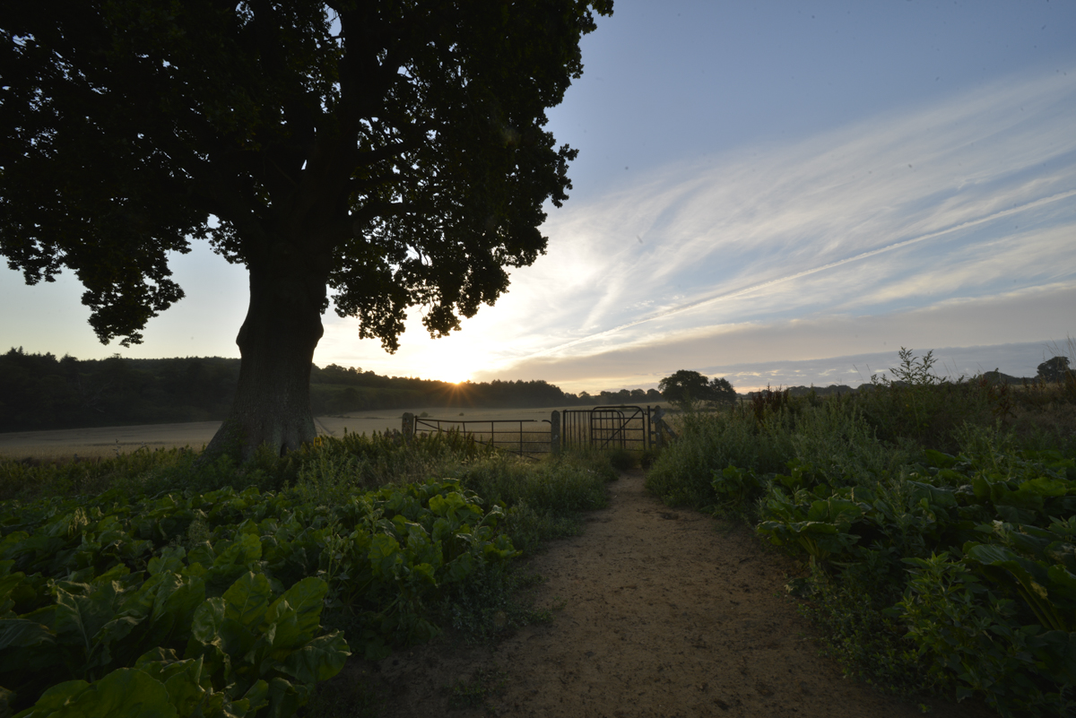 loawa 12mm f2_8 from lens 15.jpg