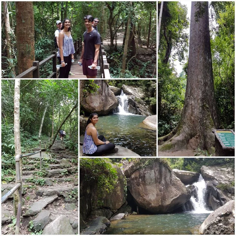 waterfalls.jpg